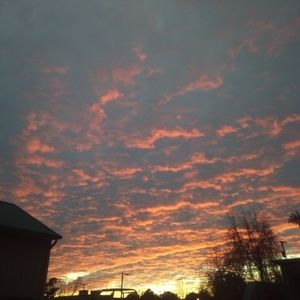 Meet your Posher, Lee